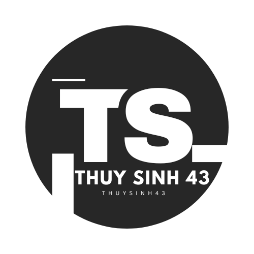 thuysinh43.com